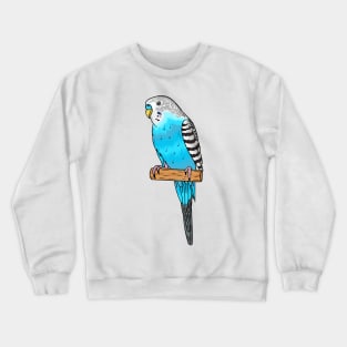 Blue budgerigar bird cartoon illustration Crewneck Sweatshirt